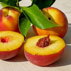 Persikas 'Inka'