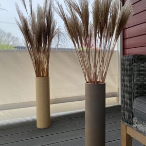 Miskantu šluotelės interjere