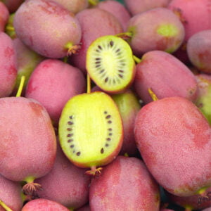 Smailialapė aktinidija 'Bingo' PBR - vaisiai saldūs, skanūs, su ananaso poskoniu, odelė saulėje paraudonuoja, minkštimas žalias