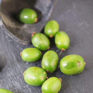 Smailialape aktinidija 'Vitikiwi' - vaisiai saldūs, aromatingi, panašūs į kivius