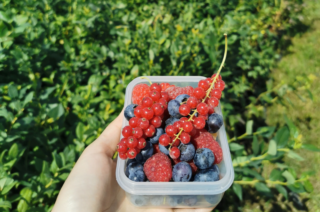 derlius ištisus metus