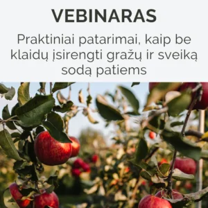 Praktiniai patarimai, kaip be klaidų įsirengti gražų ir sveiką sodą patiems