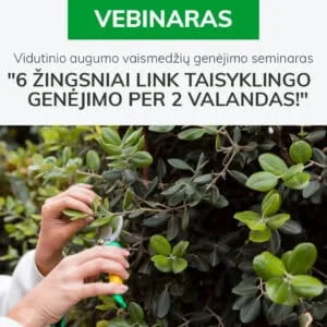 Vidutinio augumo vaismedžių genėjimo seminaras "6 ŽINGSNIAI LINK TAISYKLINGO GENĖJIMO PER 2 VALANDAS!"