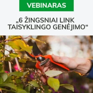 Vebinaras „6 žingsniai link taisyklingo genėjimo“