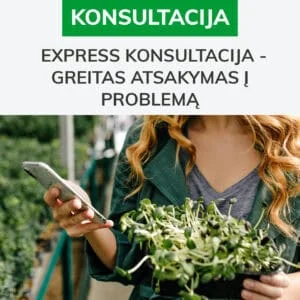 Express konsultacija - greitas atsakymas į problemą