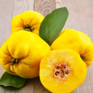 Svarainis stiebinis bespyglis