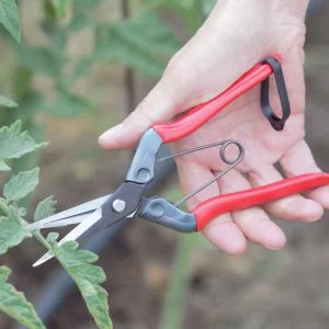 Samurai Sodo žirklės KS-55C