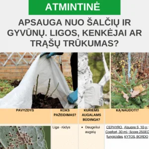 Atmintinė "Augalų apsauga nuo šalčių, gyvūnų ir vėjo. Ligos, kenkėjų ar trąšų trūkumo nustatymas"