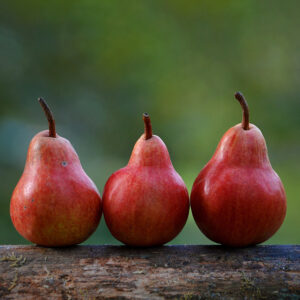 Kriaušė 'Starkrimson'