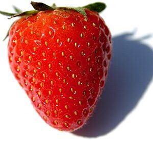 Jenkka braske Tado ukis