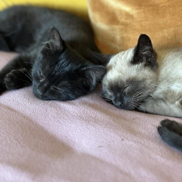 367996967_363849006149142_2697514848219589935_n